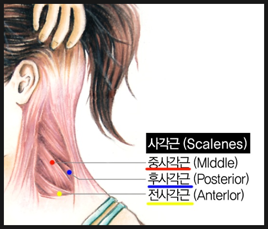 웰메디컬의원 이미지