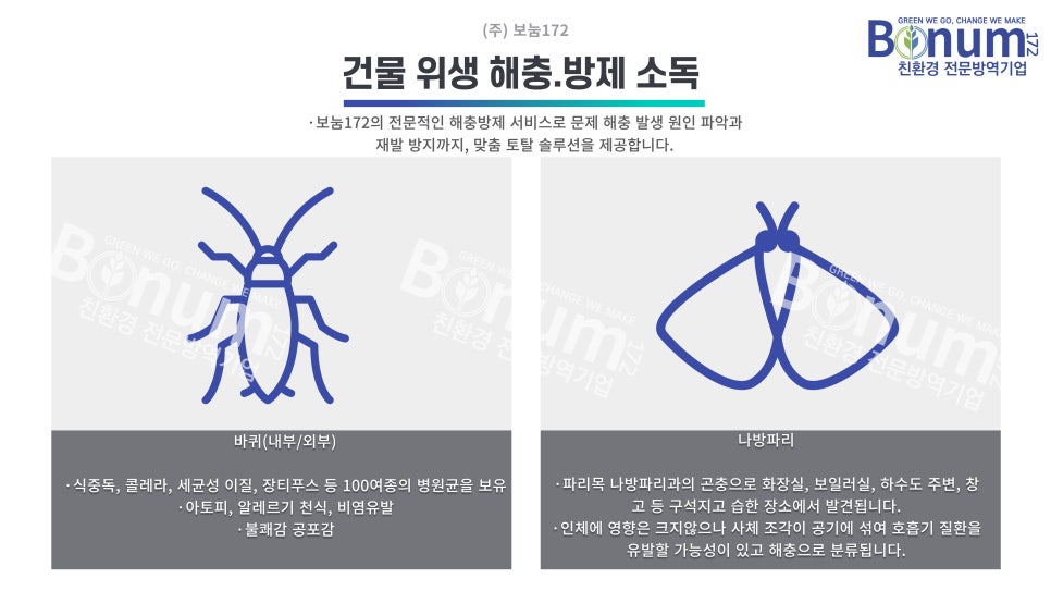 보눔172 이미지