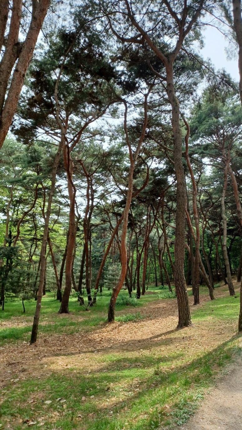 (경주·포항)해피케어 이미지