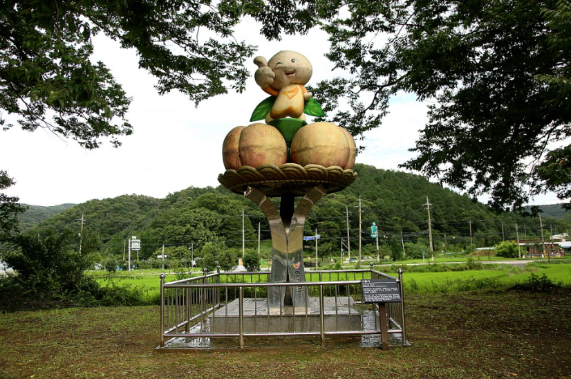바른정보 이미지