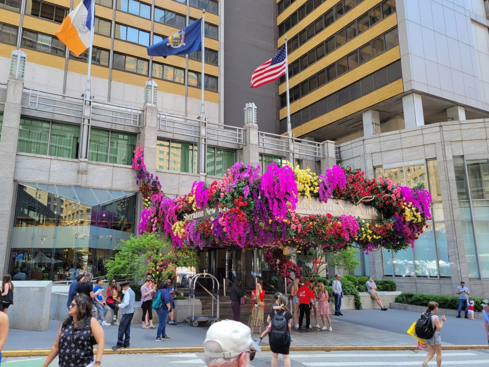 시티뉴욕(City New York) 이미지