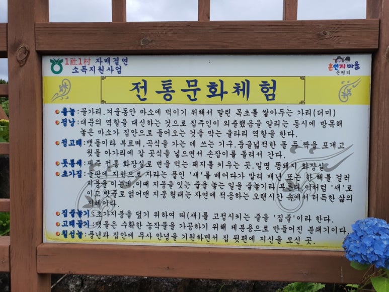 정원똥돼지 이미지