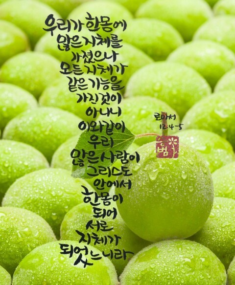 에클레시아 이미지