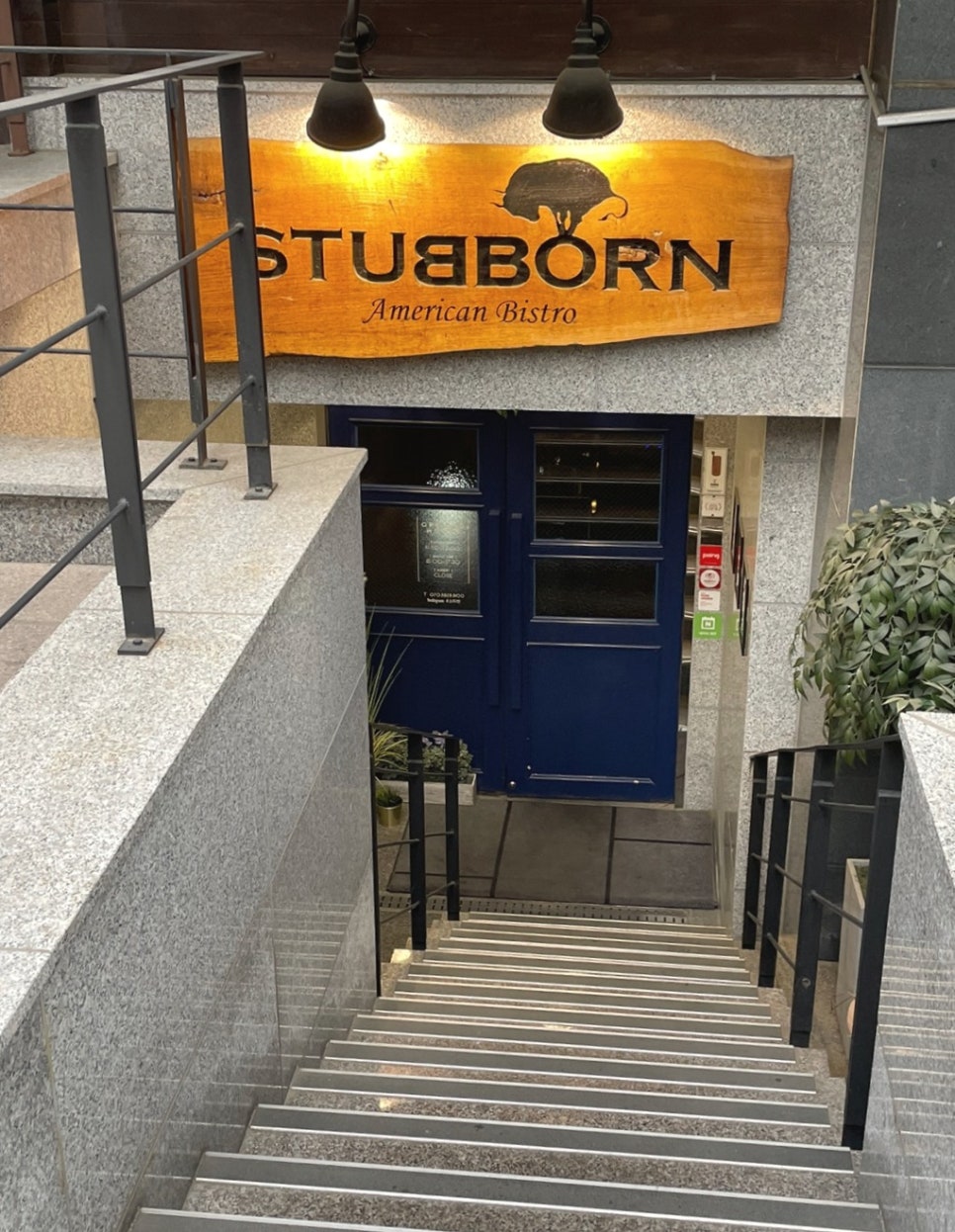 스터번(STUBBORN) 이미지