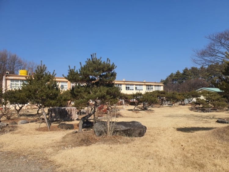보성국민학교카페 이미지