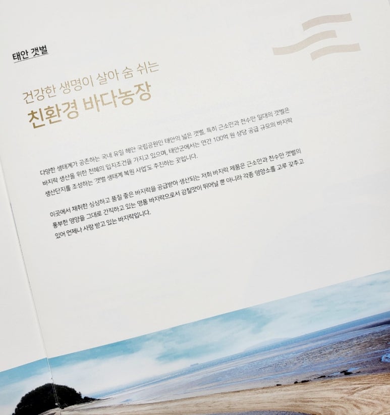 황도영어조합법인 이미지