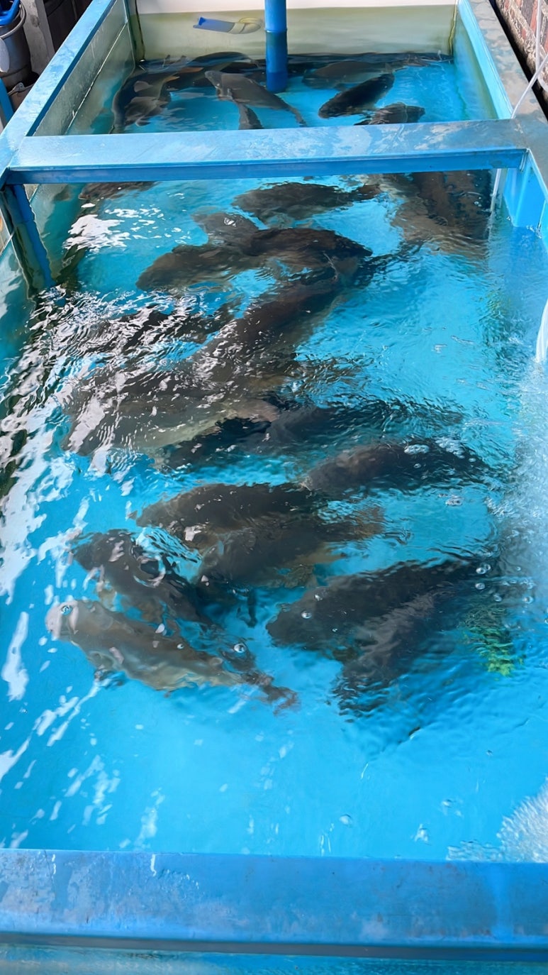 화성정민물횟집 이미지