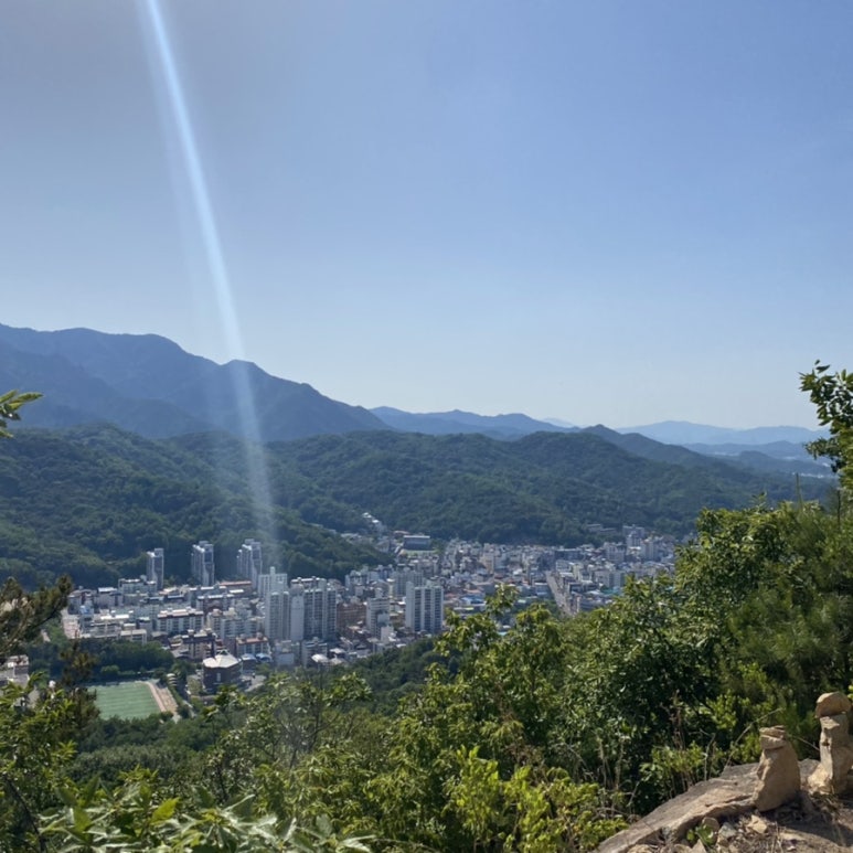 태림티앤씨 이미지