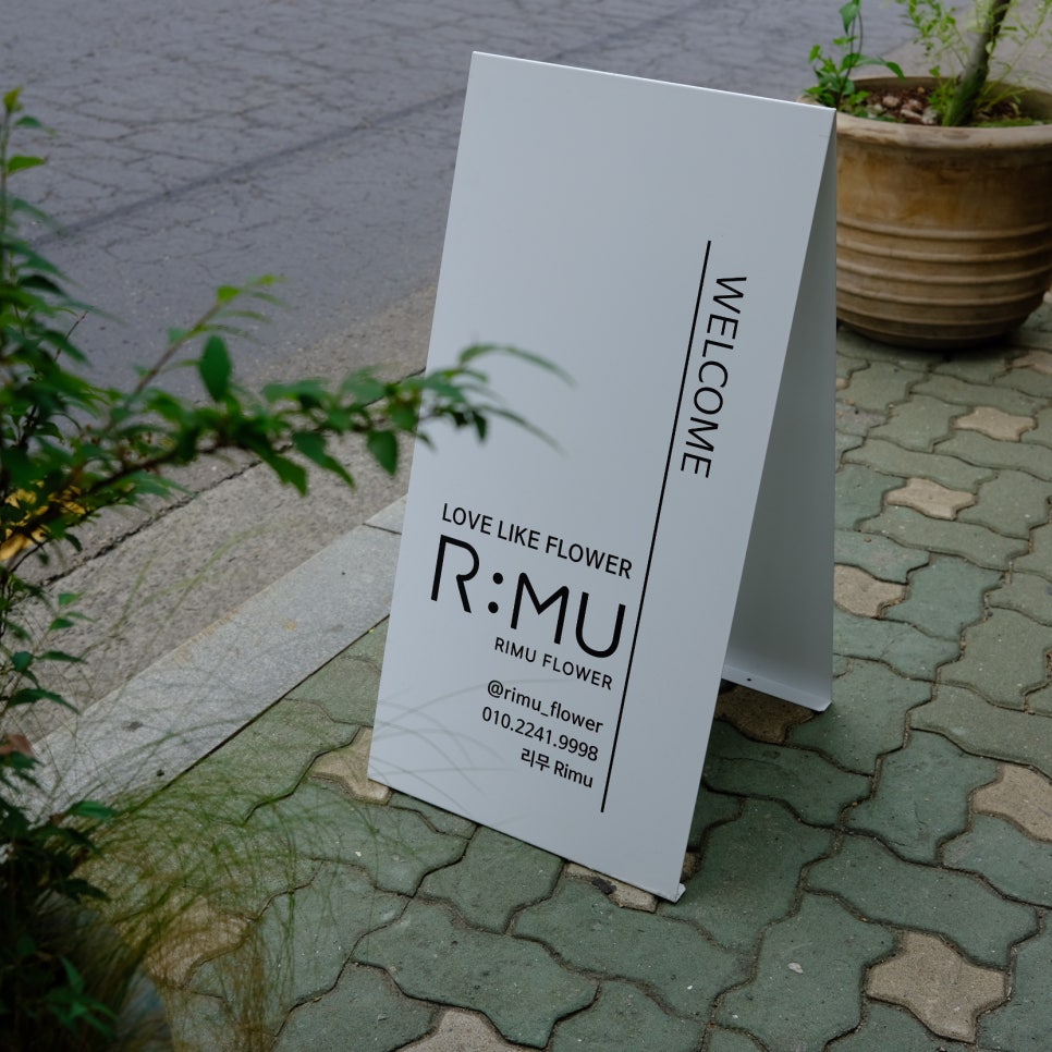 리무(RIMU) 이미지