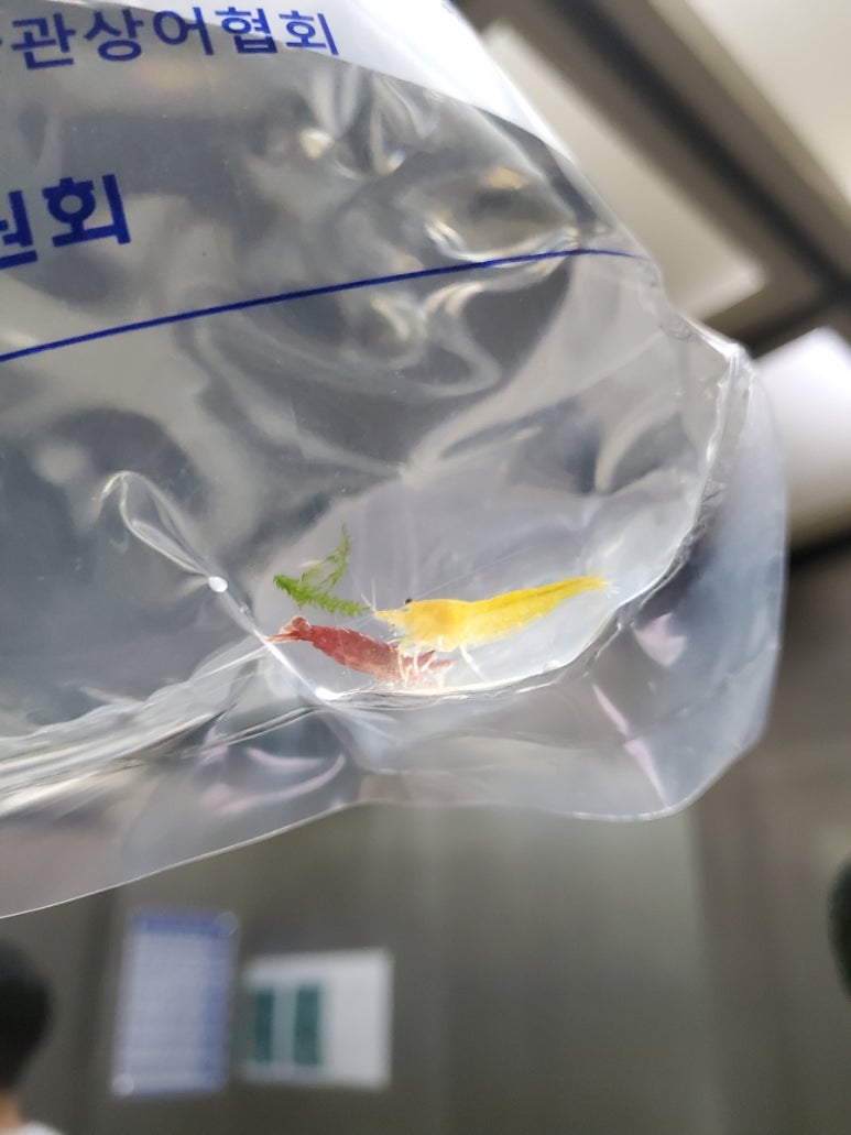 물의나라수족관 이미지