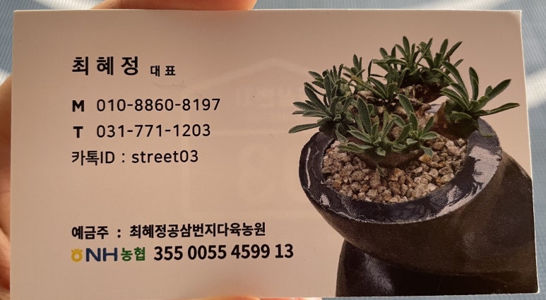 공삼번지다육농원 이미지