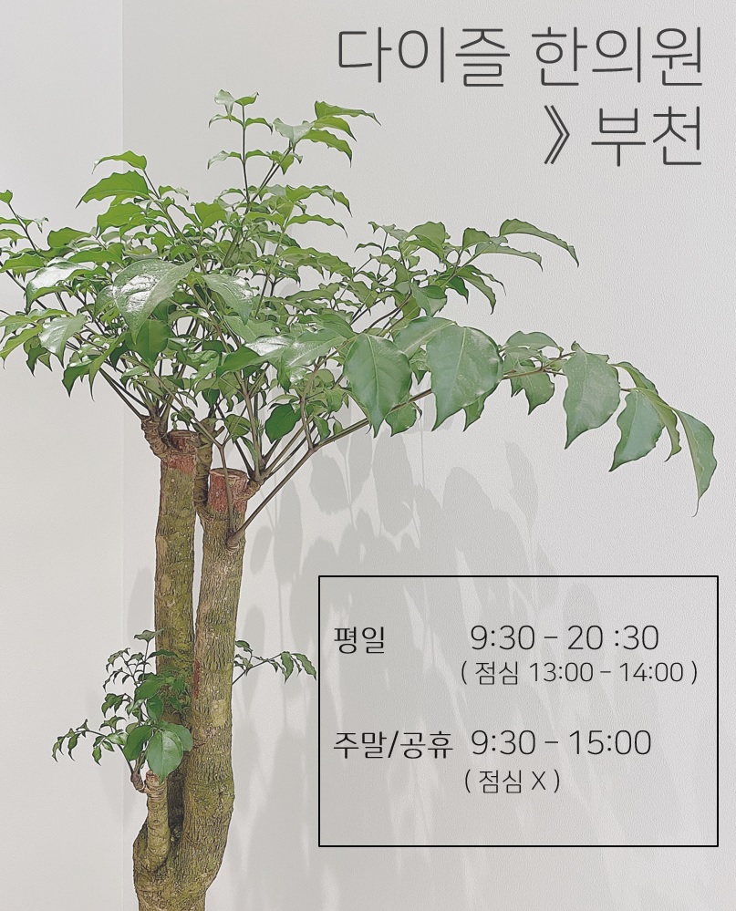 성보한의원 이미지