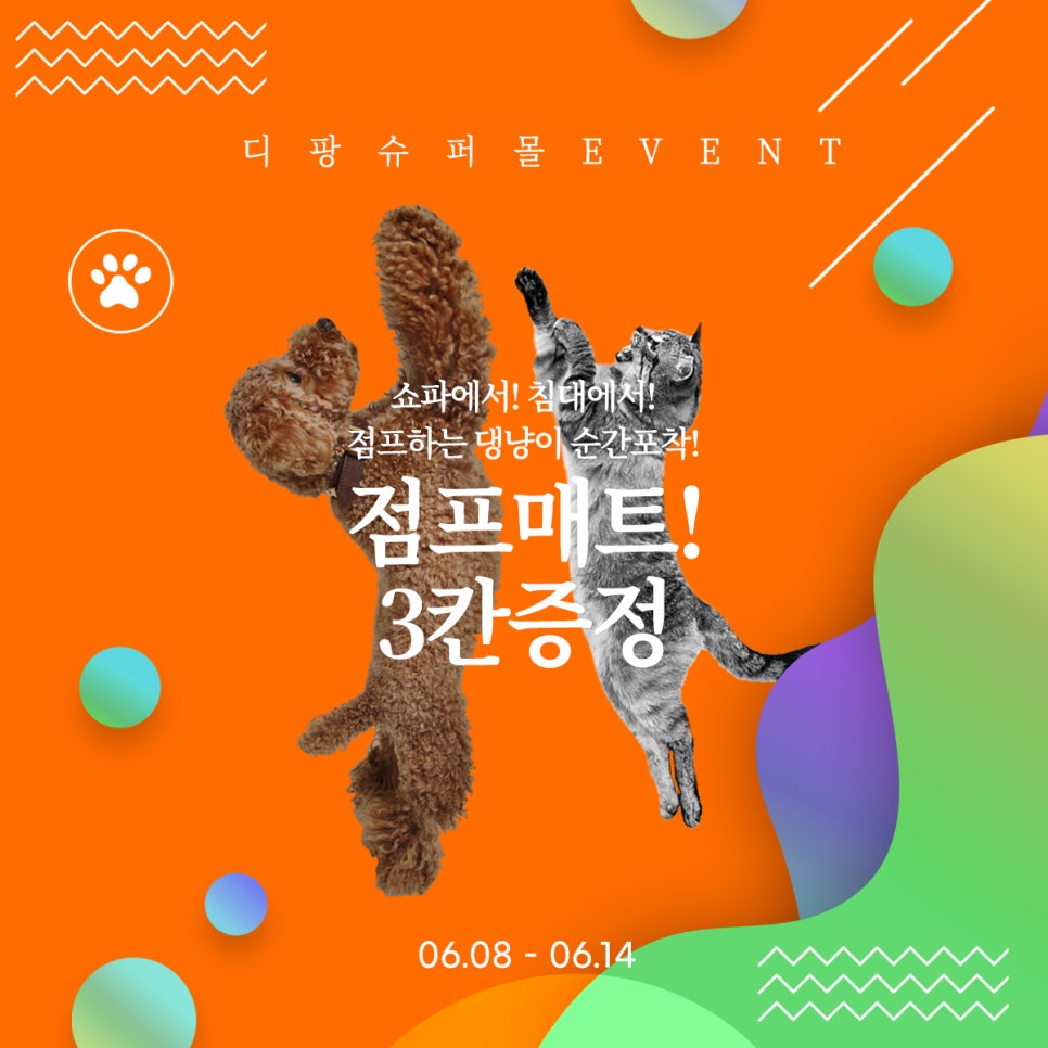 슈퍼디팡 이미지