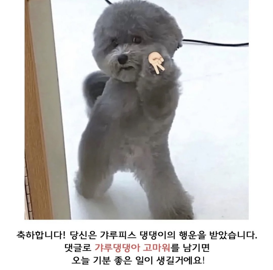 (주)소소습관 이미지
