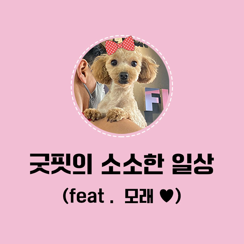 굿핏 이미지