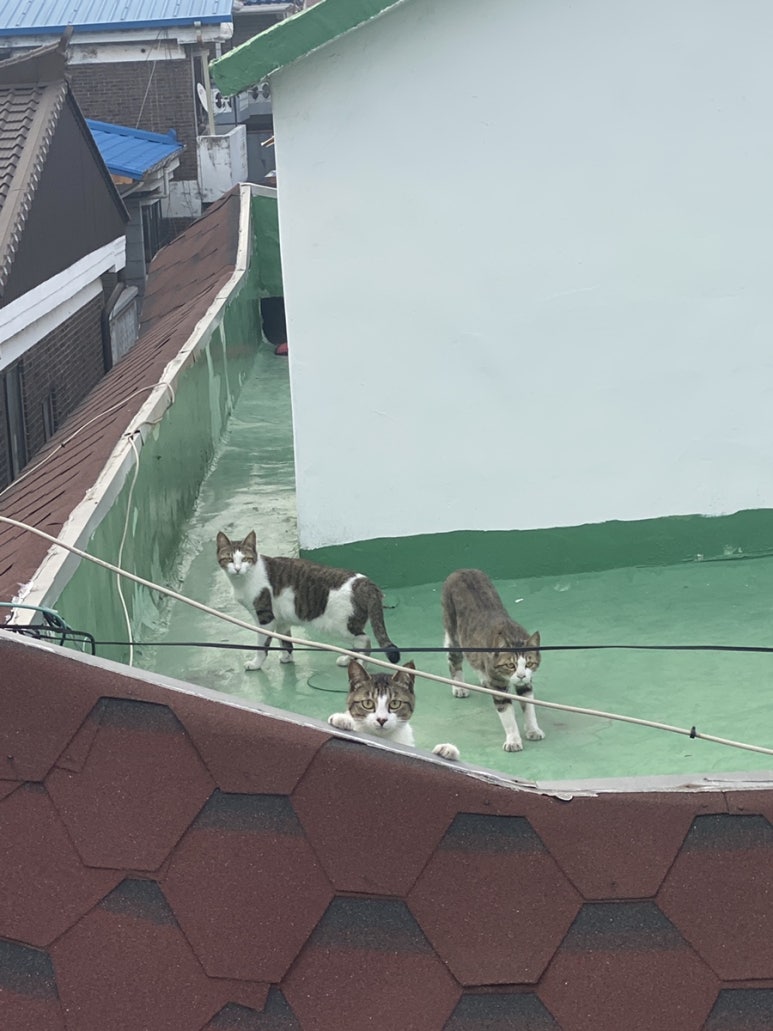 포차천국 석남점 이미지