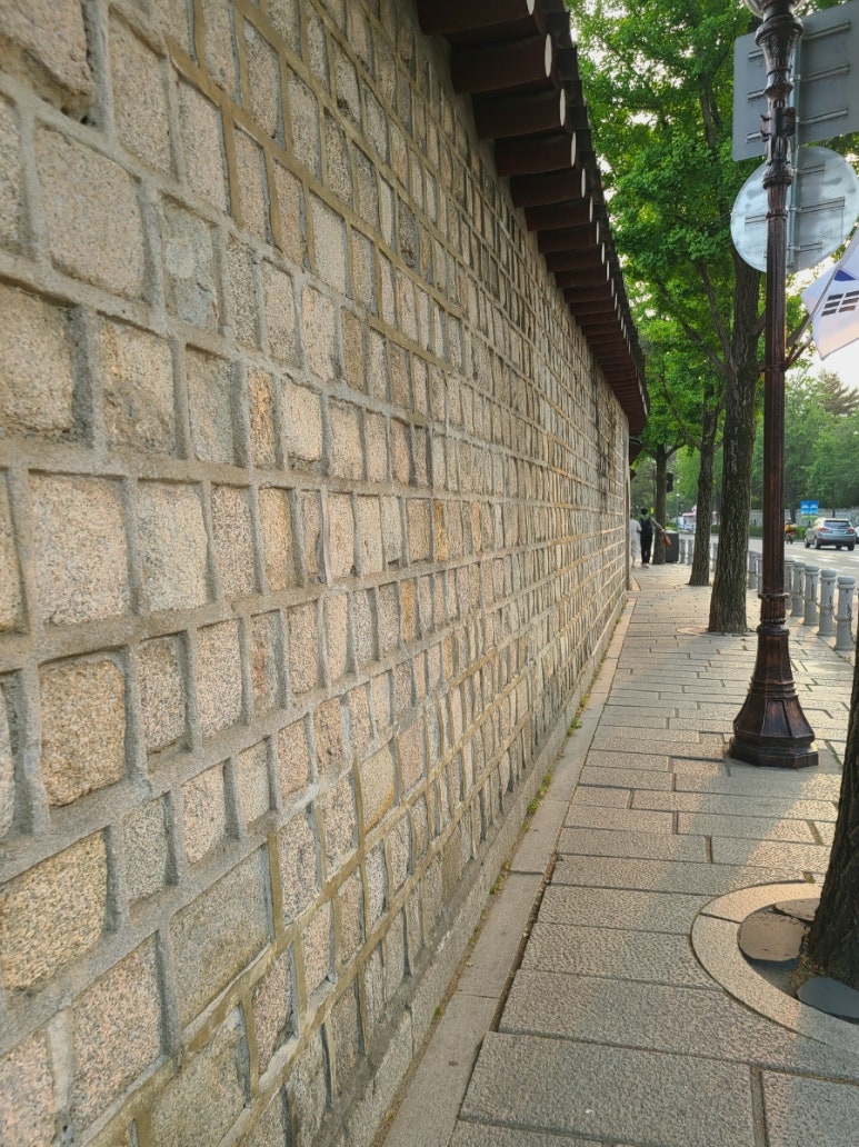 티오컬랙션 이미지