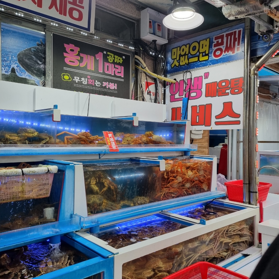 매일회대게시장 이미지