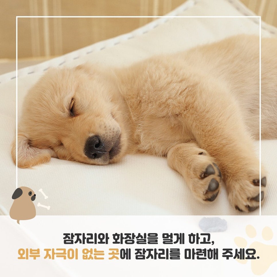 꿀잠 이미지