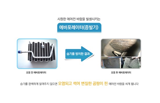 하이크리닝 이미지