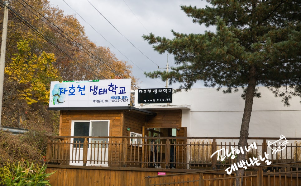 자호천생태학교 이미지