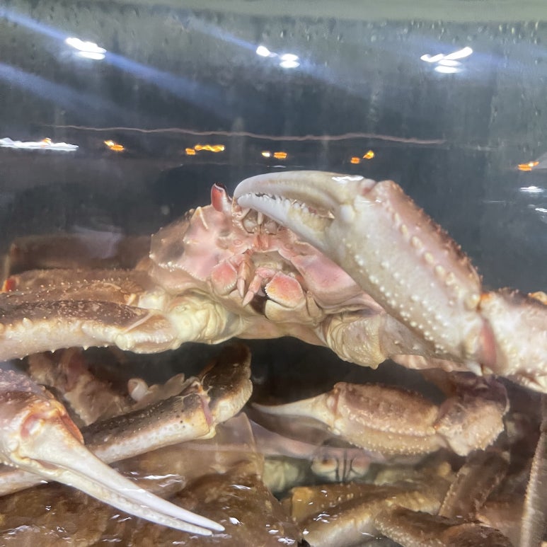 도시크랩 이미지