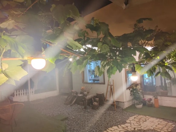그린꽃카페 이미지