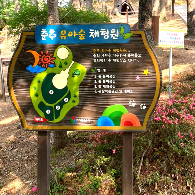 춘추 유아숲체험원 이미지