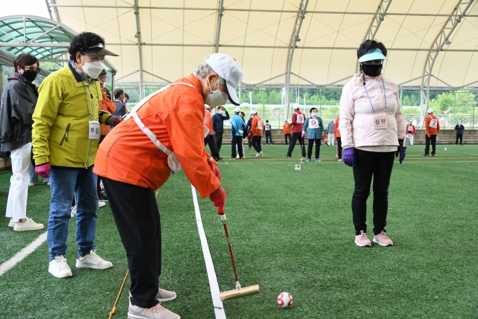 (사)대한노인회평창군지회 이미지