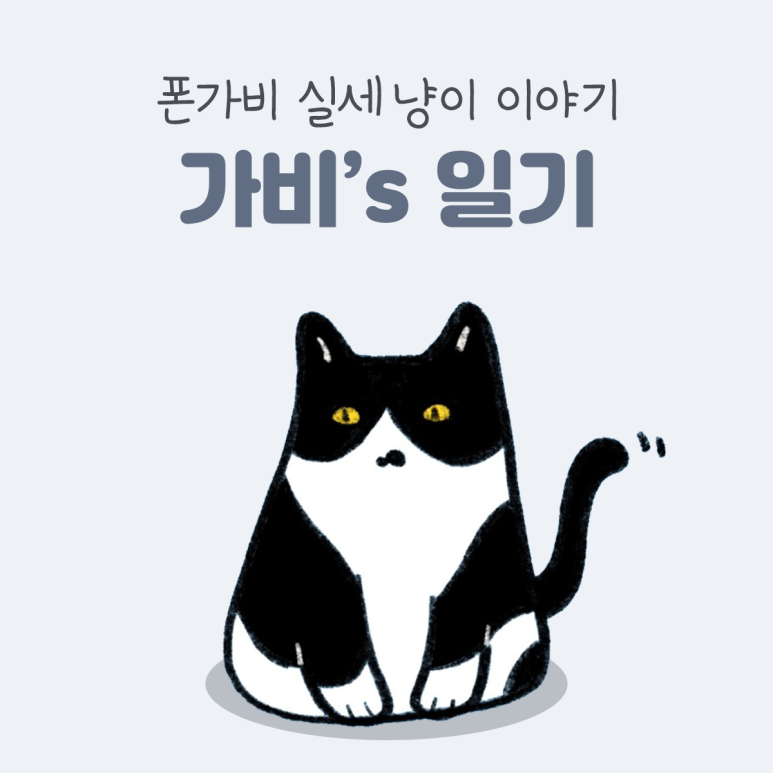 가비상자 이미지