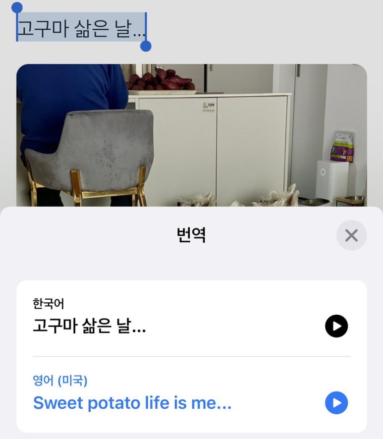 부흥세탁소 이미지