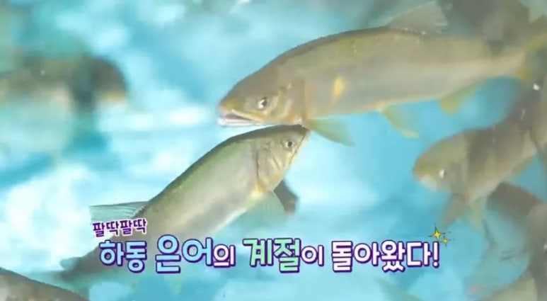 하동약초 이미지