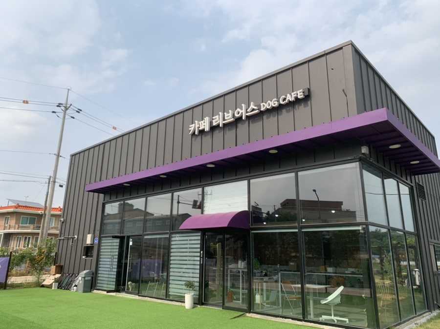 카페리브어스 이미지