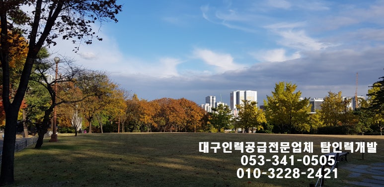 탑 직업소개소 이미지