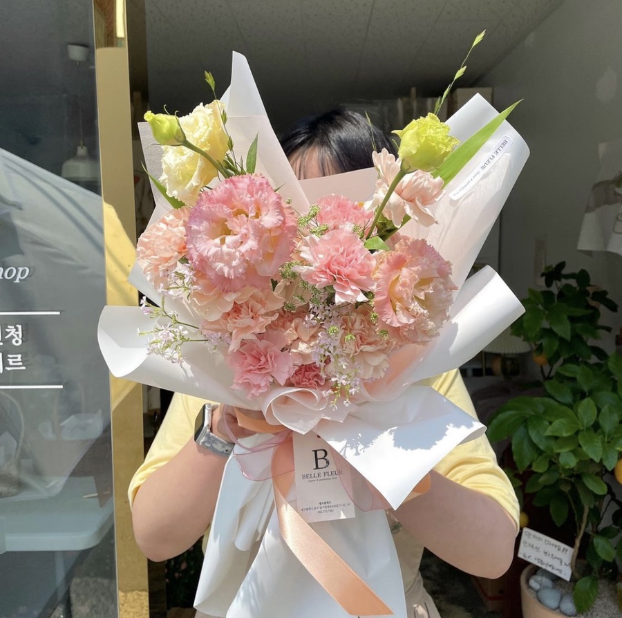 벨르플레르 이미지