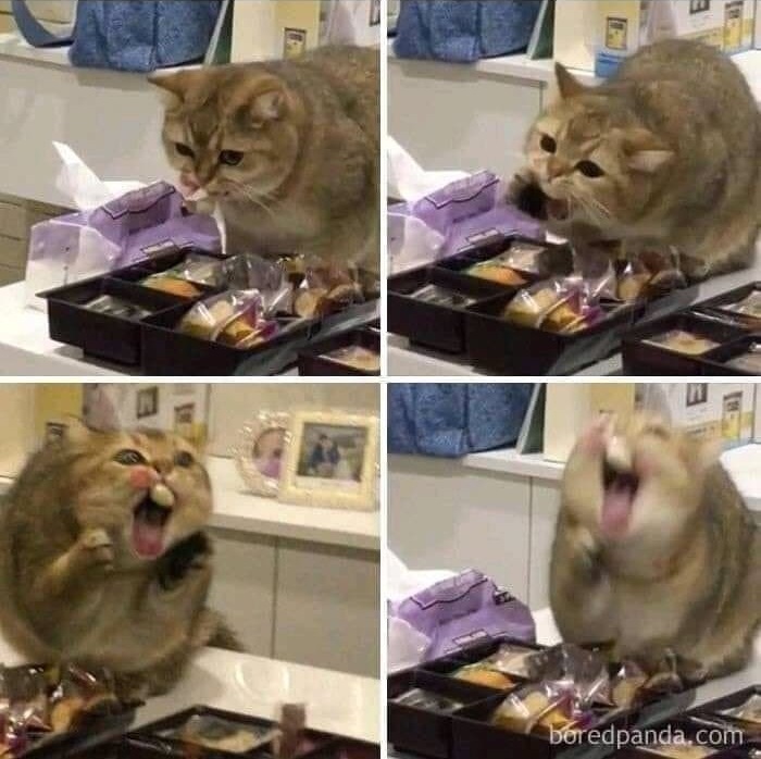 프리모카페 이미지