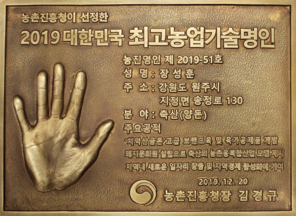 금돈돼지 이미지