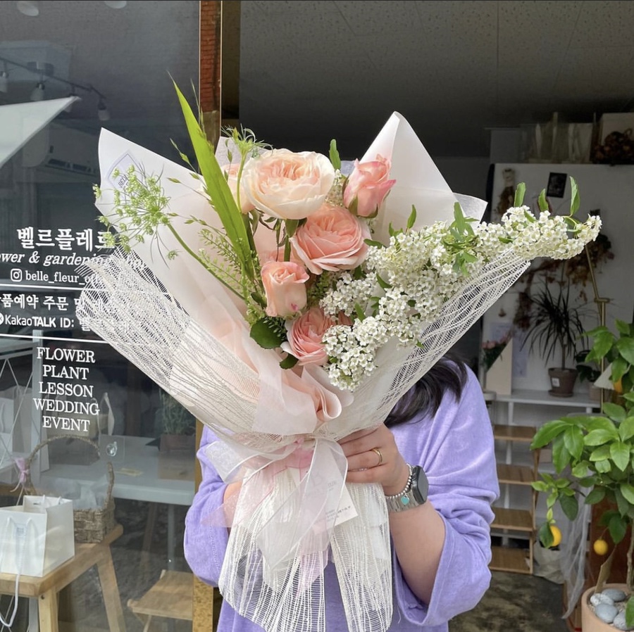 벨르플레르 이미지