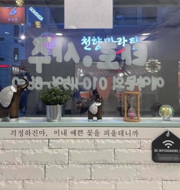 사주타로커피 이미지
