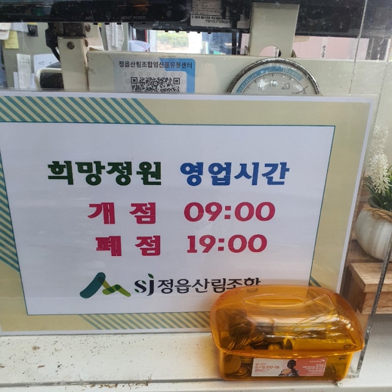 차샘정읍 이미지