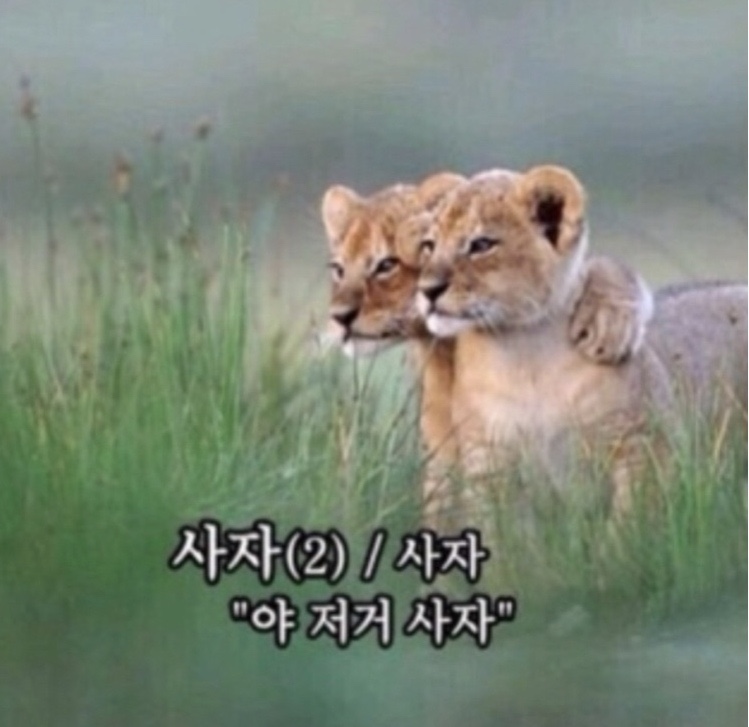 차차캠핑 이미지