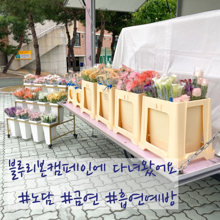 금연플라워 이미지