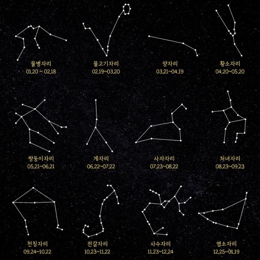 물고기자리 동탄점 이미지