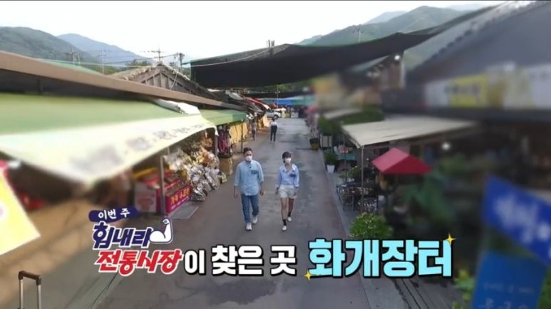 하동약초 이미지