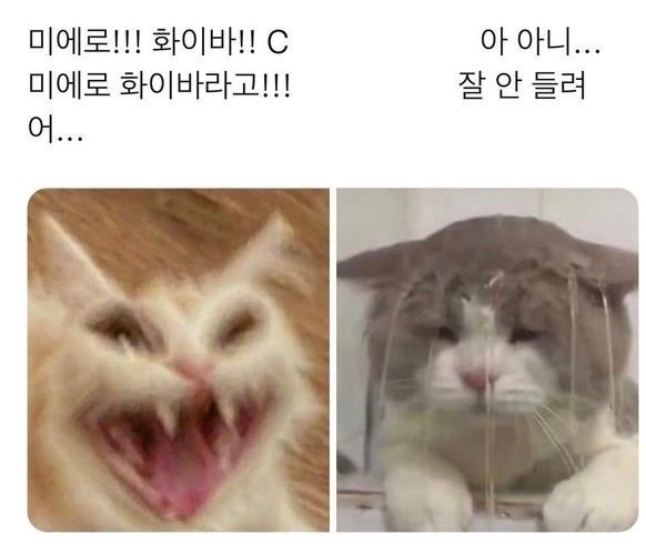 목요일기 이미지