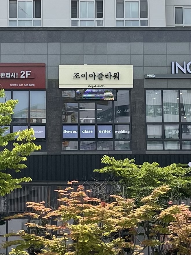 조이아플라워 이미지