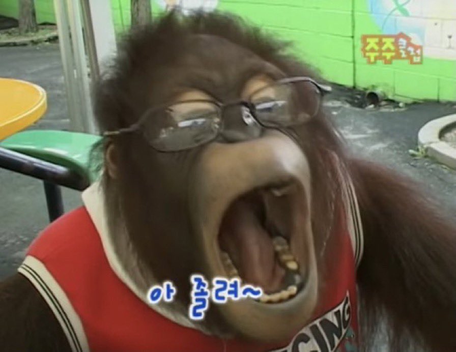 베이비잇 이미지