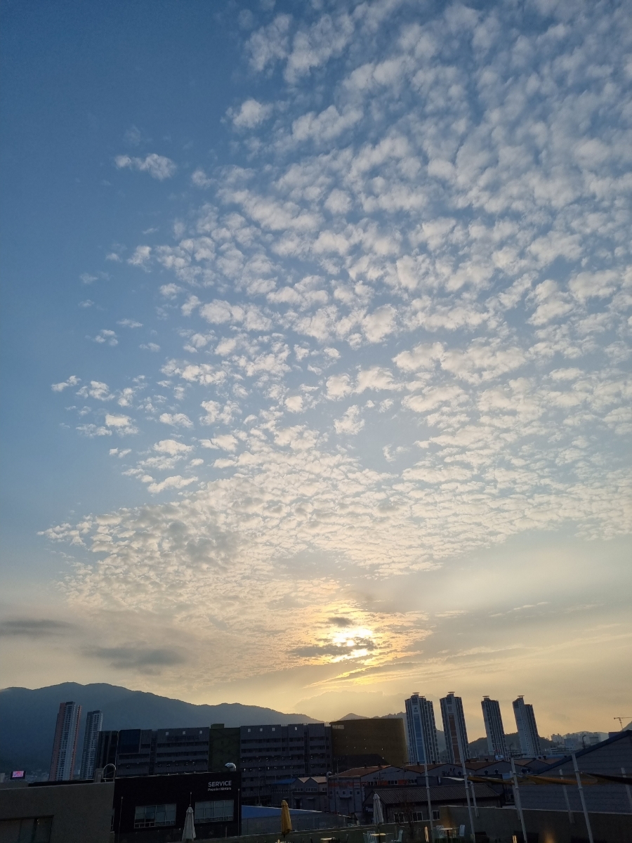 시티베이 이미지