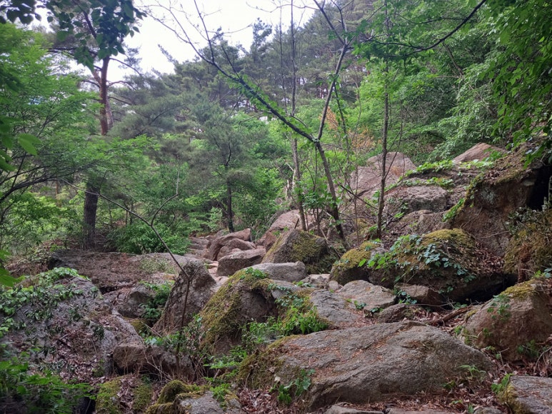 세동식당 이미지
