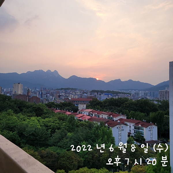 허니소담베이글 이미지